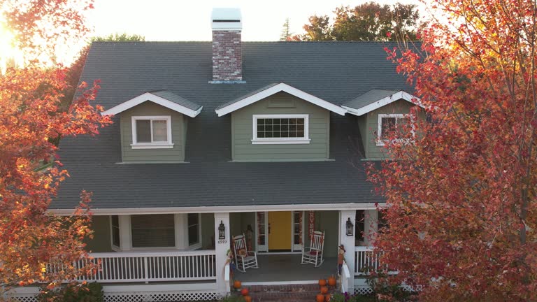 Best Roof Moss and Algae Removal  in Weldon Spring, MO